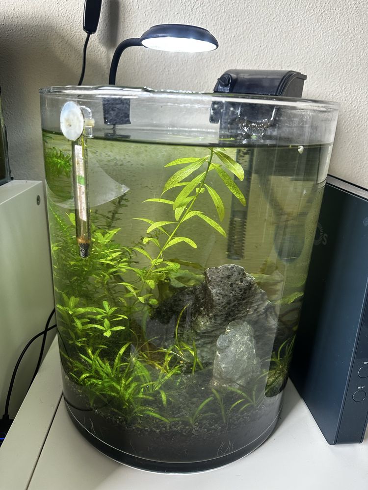 Aquario completo