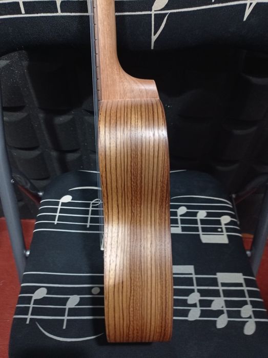 Ukulele concerto novo