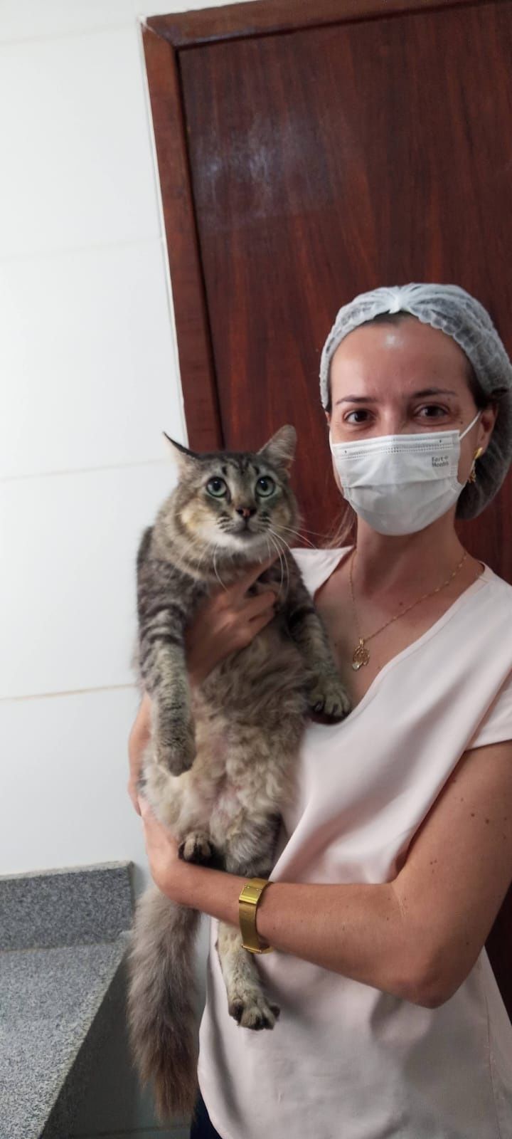 Pet sitting e te ajudo com seu animalzinho