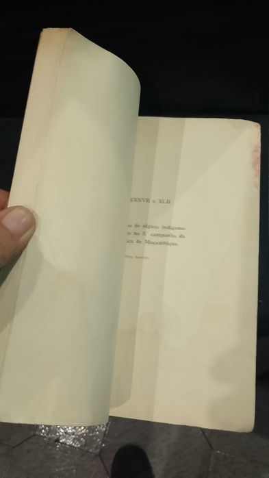 III Estudos Psicotécnicos: Nível Intelectual de tribos de Moçambique