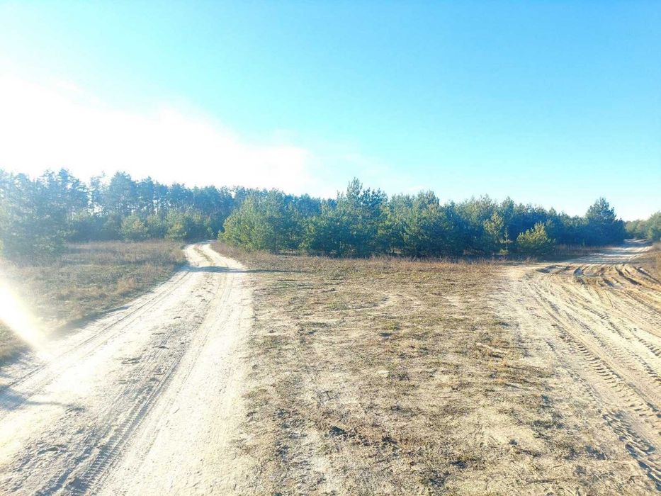 Продаж 2,44га під садівництво з правом забудови в с.Кам'янка(26105783)