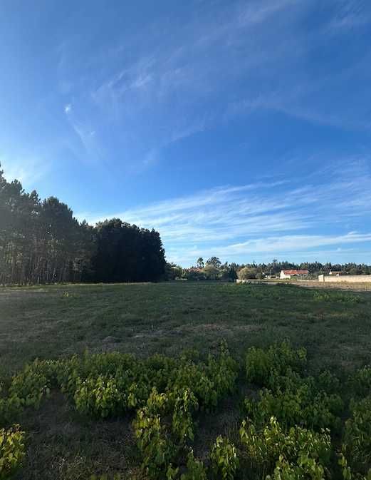 Terreno urbano em Mira