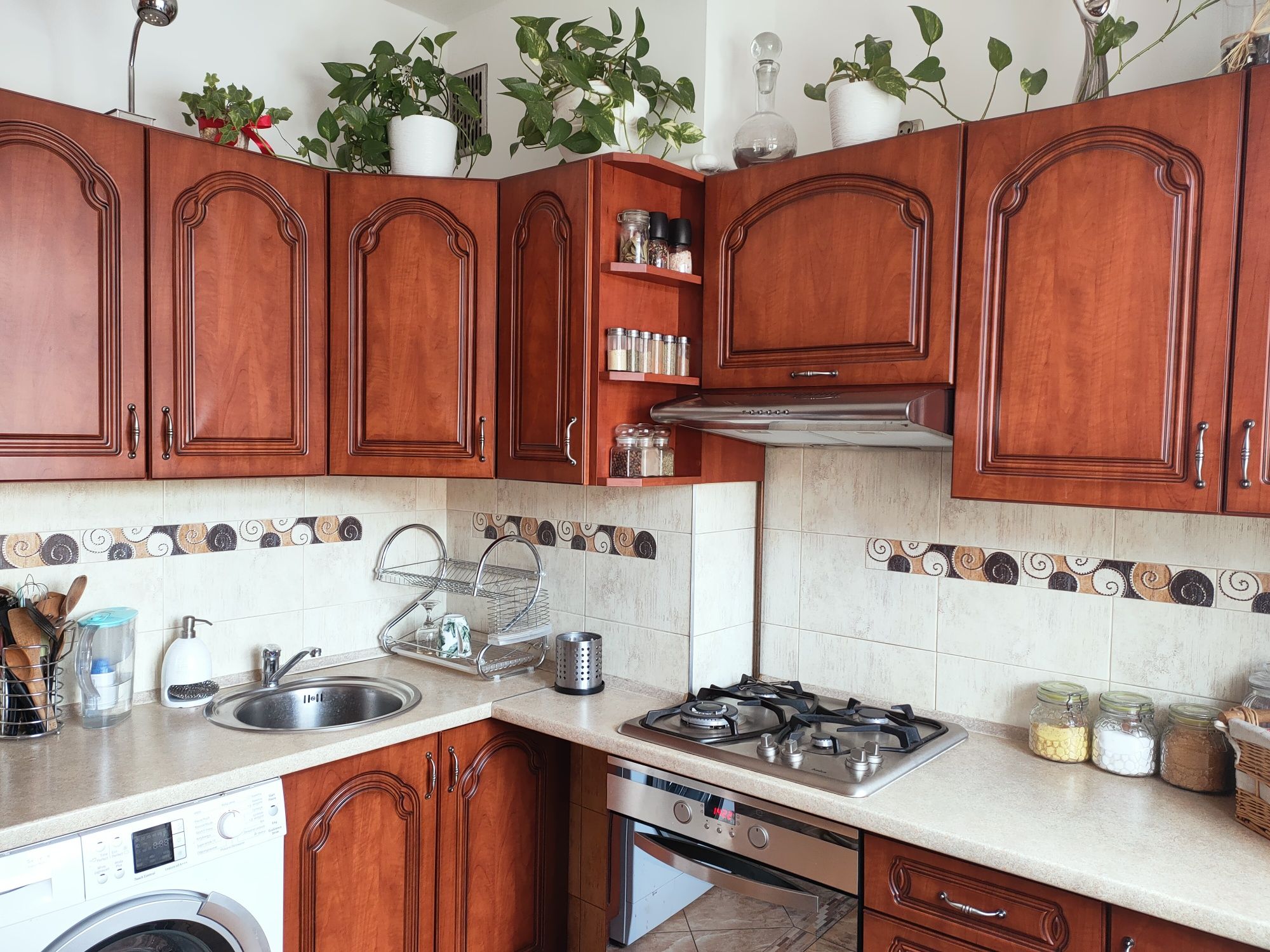 Przytulny apartament blisko Rynku na doby we Wrocławiu, 175 zł/doba