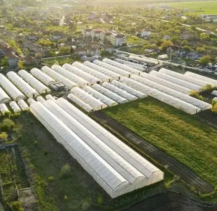 Плівка для теплиць Ginegar Sotrafa Тепличная пленка