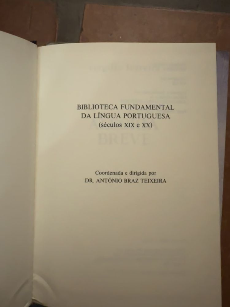 Livro alegria breve de Vergílio Ferreira. Biblioteca Fundamental da língua portuguesa
