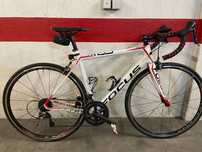 Focus Cayo 5.0 2015