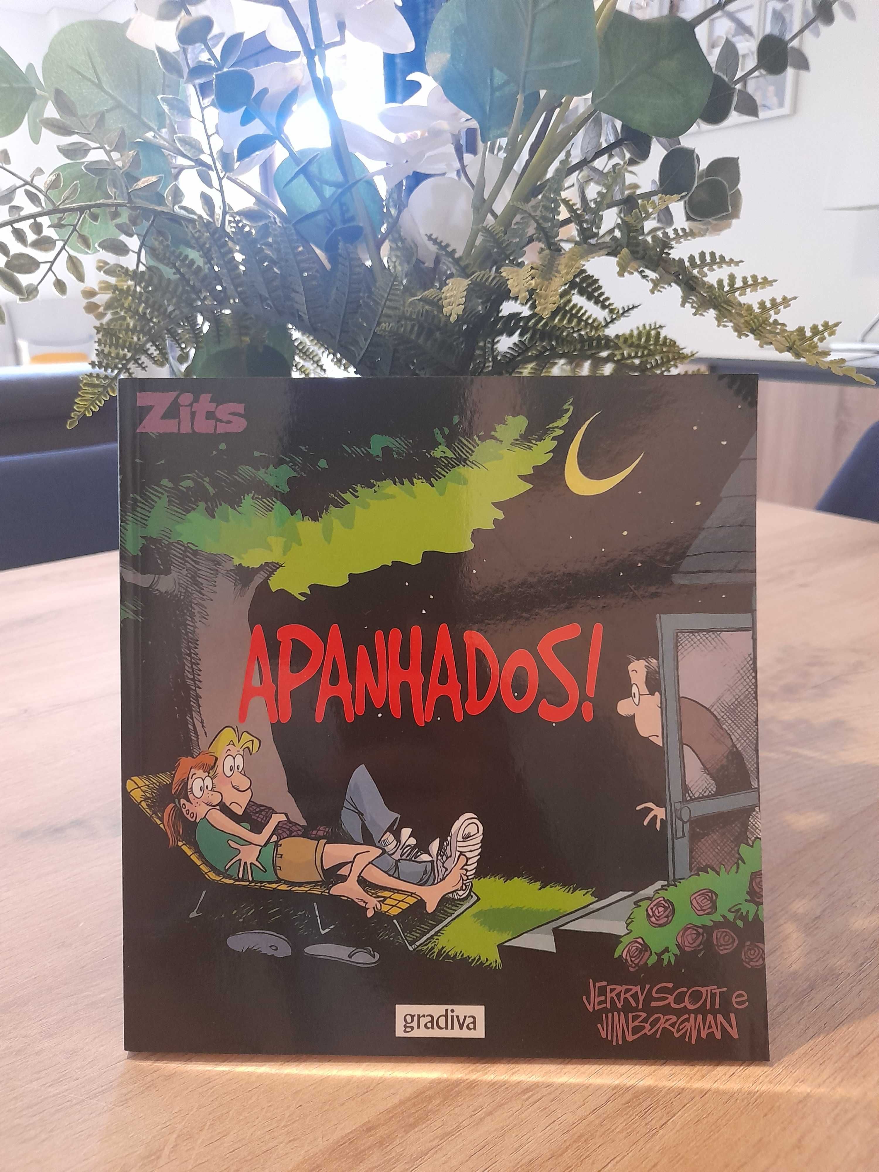 Apanhados! - Zits N.º 6