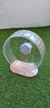 Roda BUCATSTATE para hamster
