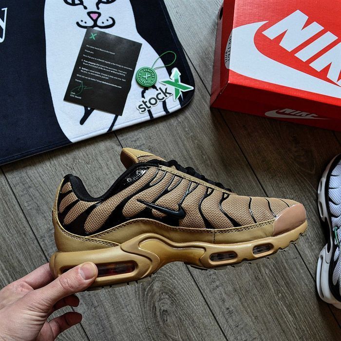 Мужские кроссовки Nike Air Max Plus Tn Desert GS 'Beige' Размеры 40-45