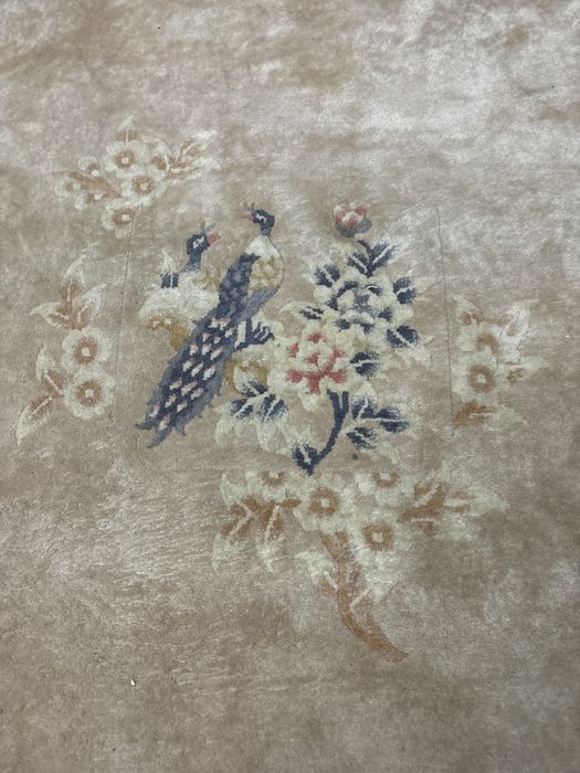 Chodnik. Dywan shaggy jasny z pawiami i brazowy jednolity