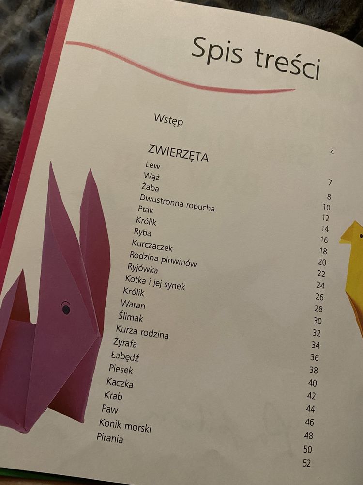 Origami dla dzieci książka