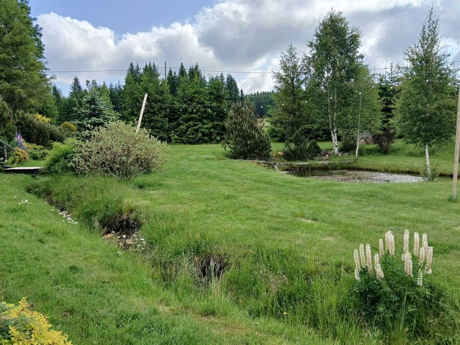 Noclegi Zieleniec, Czarna Góra