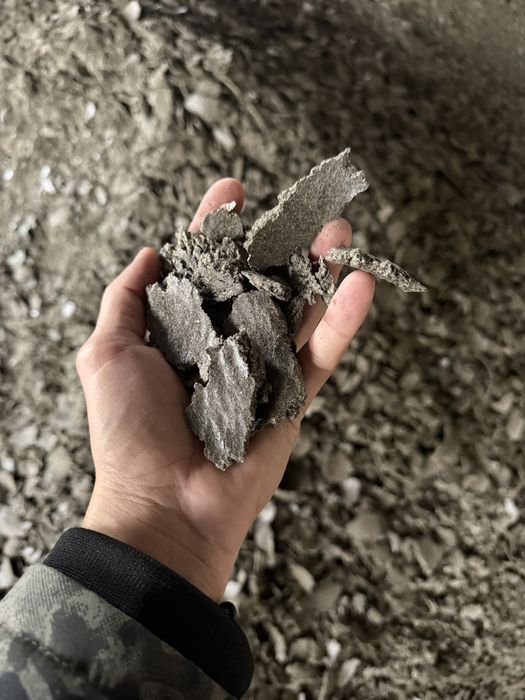 Макуха соняшникова