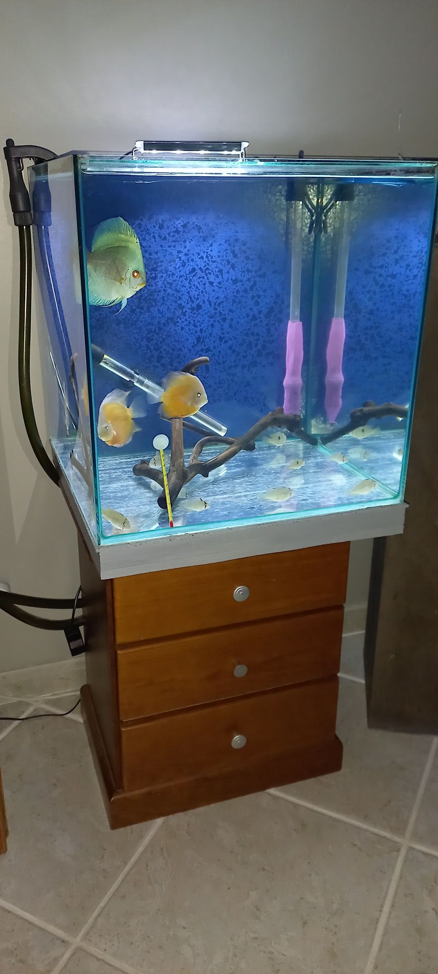 Aquário 125l completo