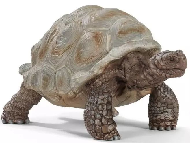 Wild Life. SLH14824. Żółw gigant. Schleich