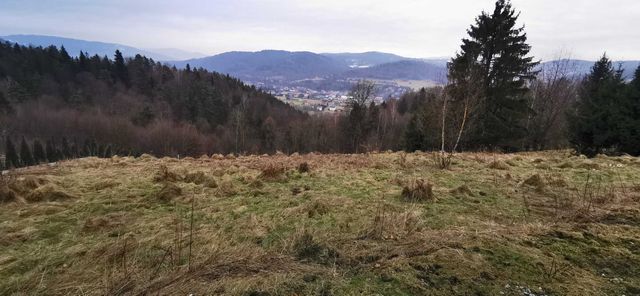 Działka Budowlana z Widokiem na  Babią Górę  1798 m².