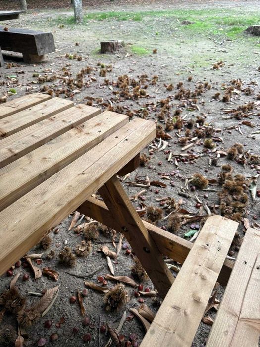 Espaço para Festas- Bosque do Choupal