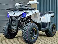 Quad DIABOLINI SHARMAX 300 XXL ! Nowy ! Transport ! GWARANCJA !