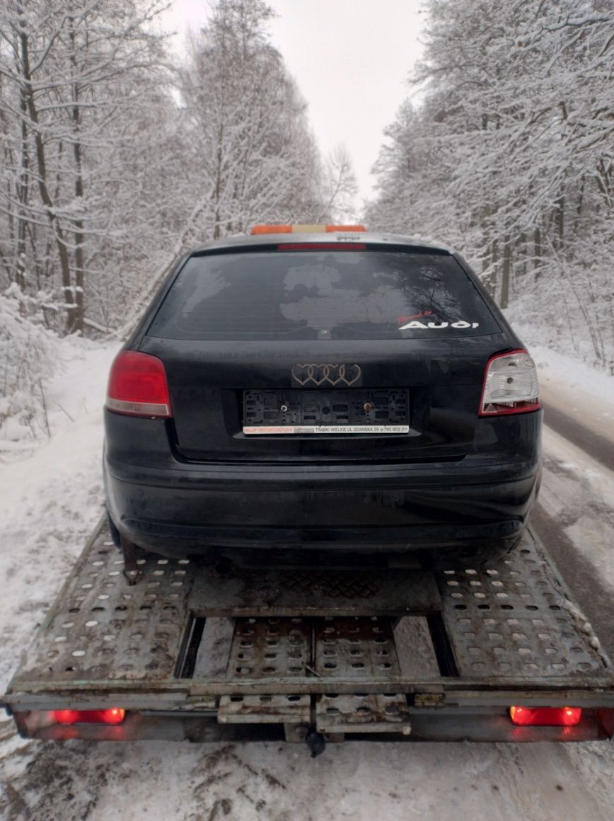 Audi A3 8P 1.6 BGU 2004r Części Wysyłka