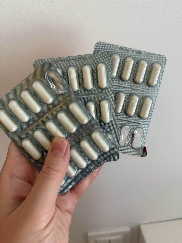 BioProtect Vet Expert kapsułki probiotyki 39tabletek pies kot