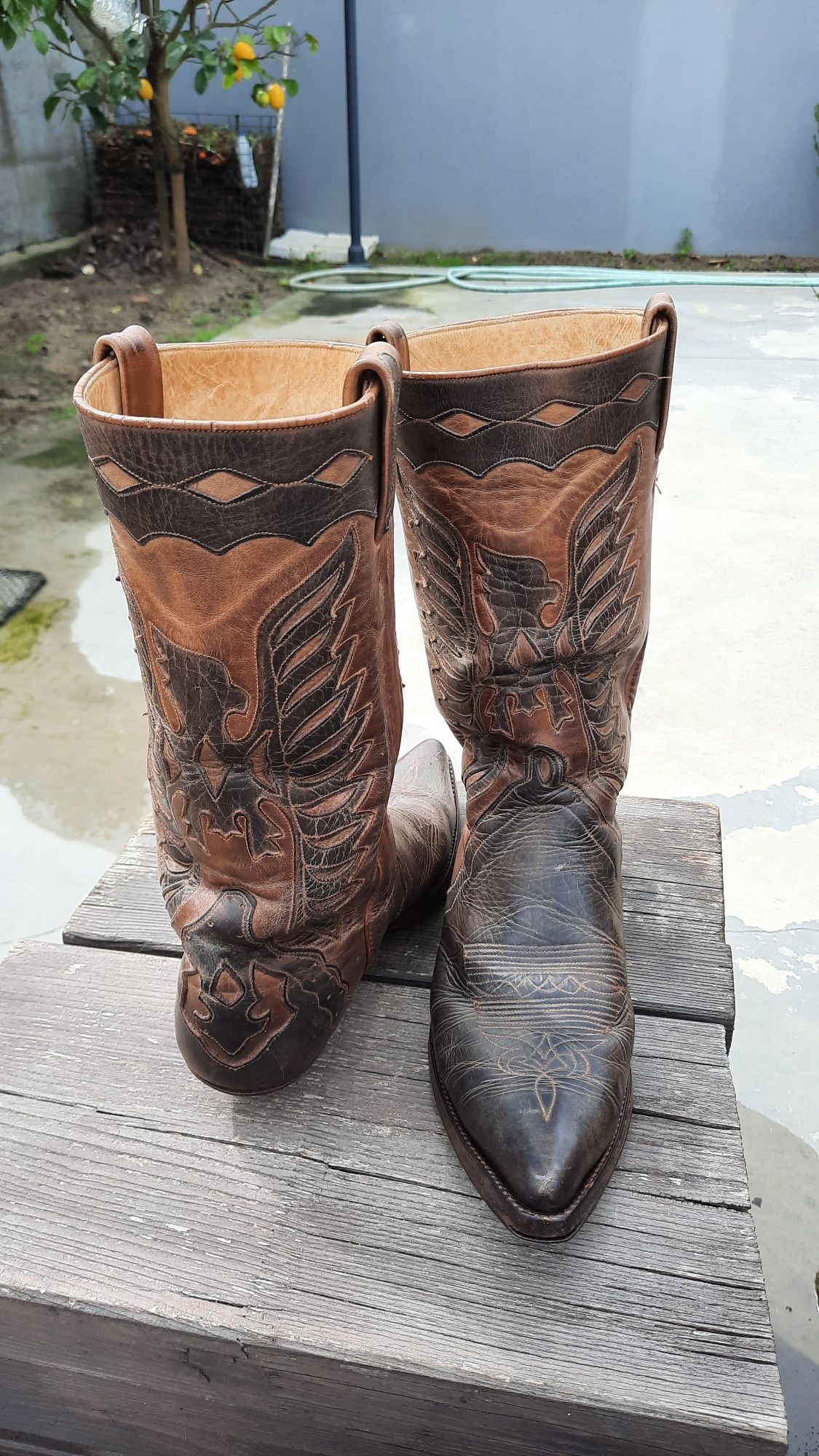 Botas de cano alto - Texanas