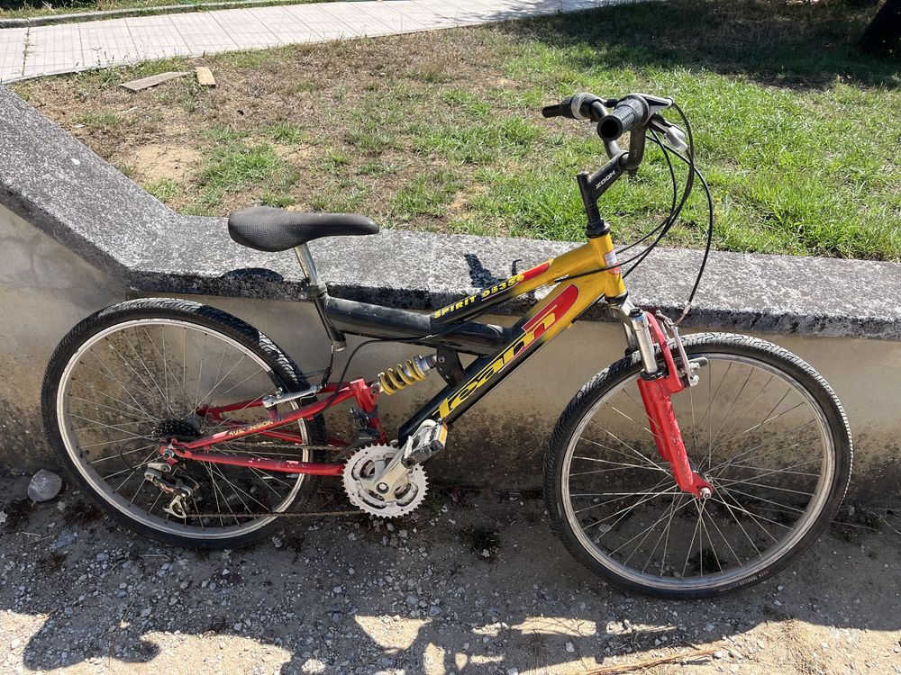 Bicicleta roda 24