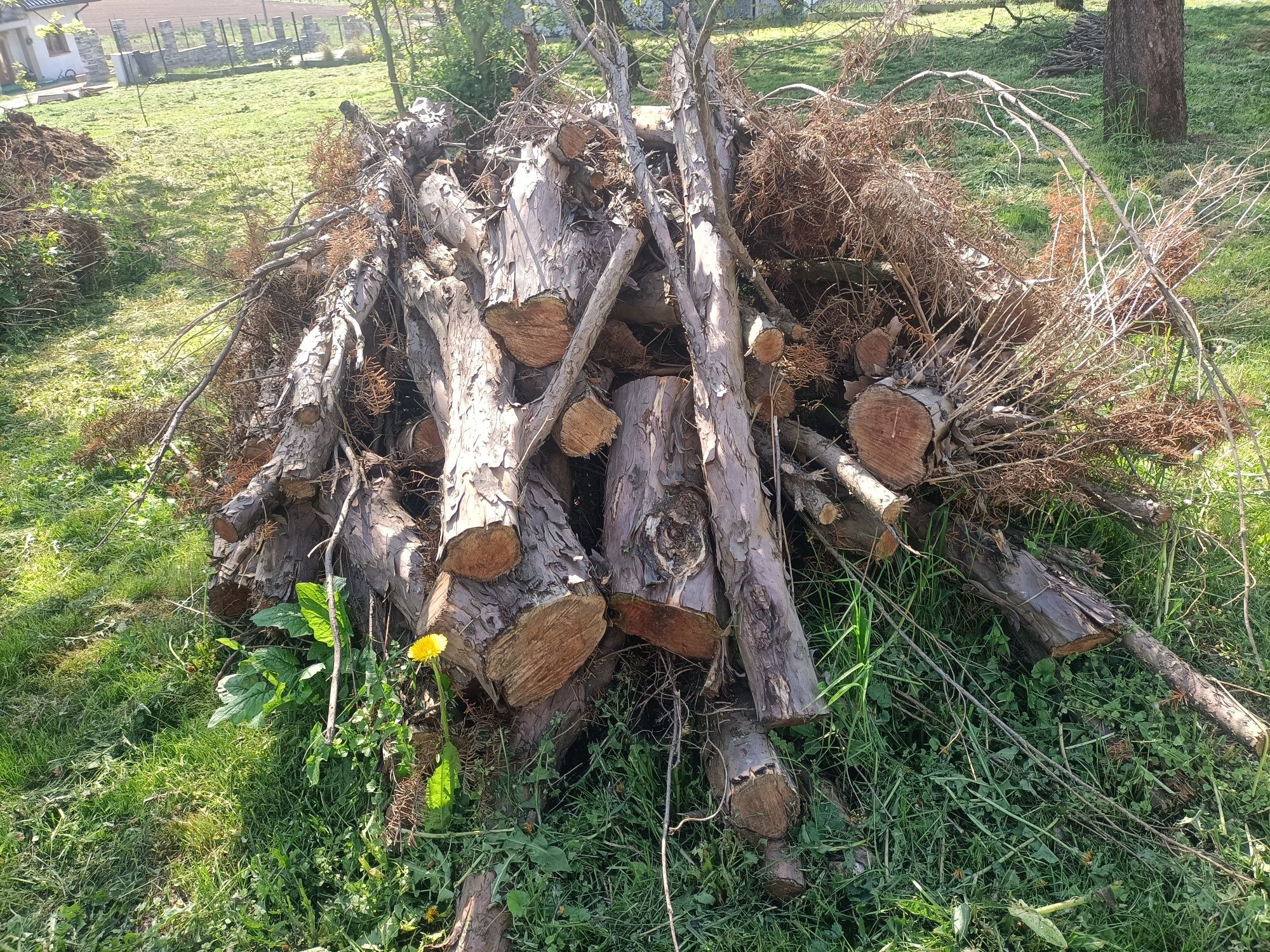Sprzedam drewno iglaste opał