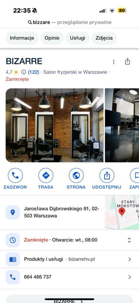Kocurek niebieski solid! Gotowy na nowy dom