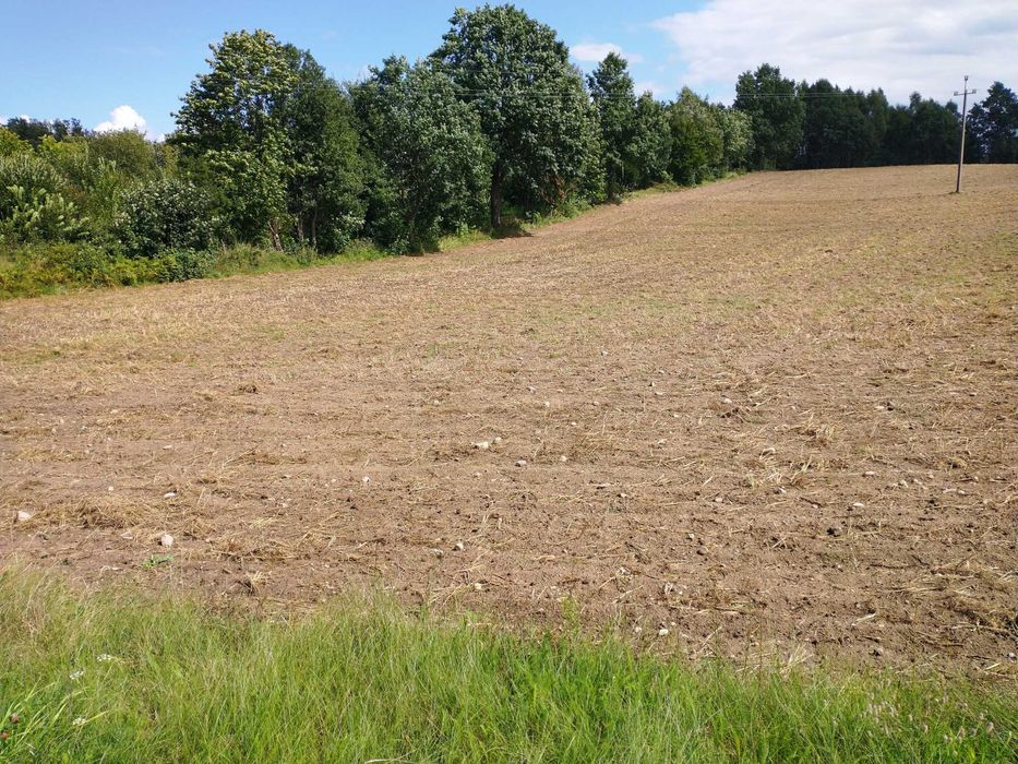 Działka budowlana z WZ | mieszkalno-usługowa | Sulęczyno | Kaszuby