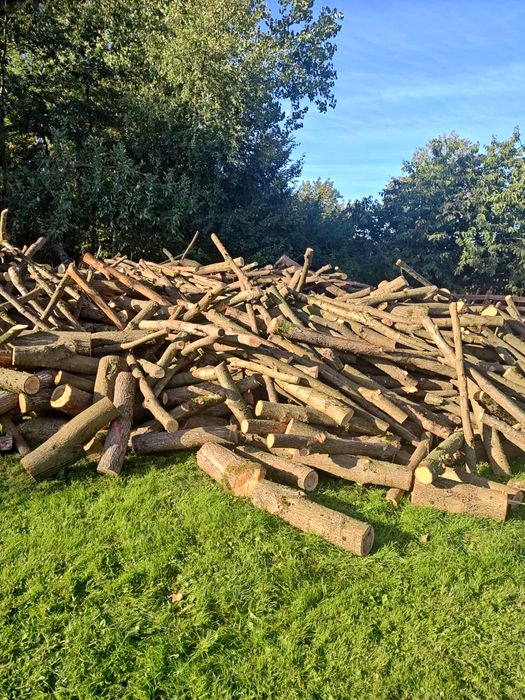 Drewno opałowe- dąb