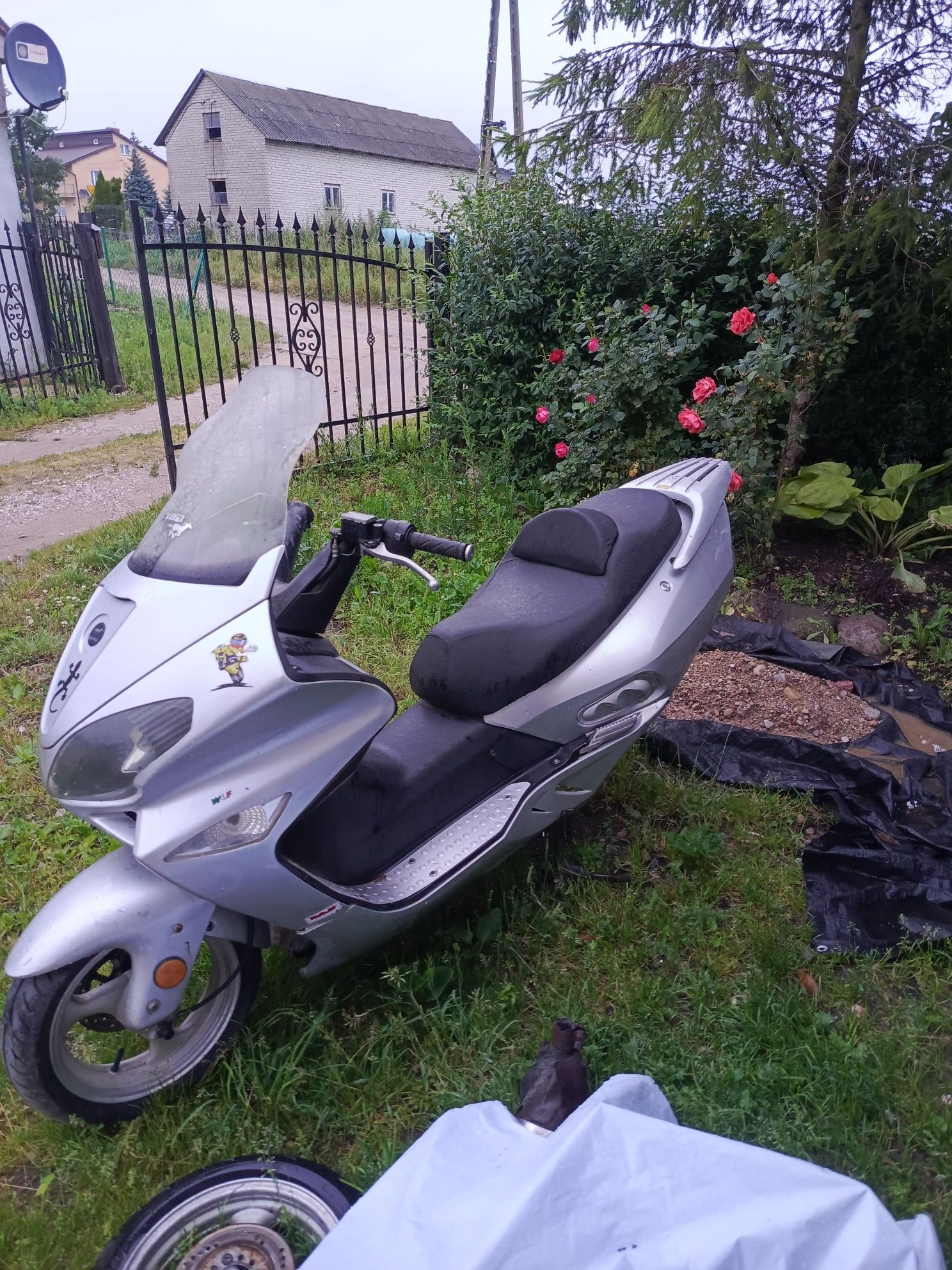Skuter jonway 250