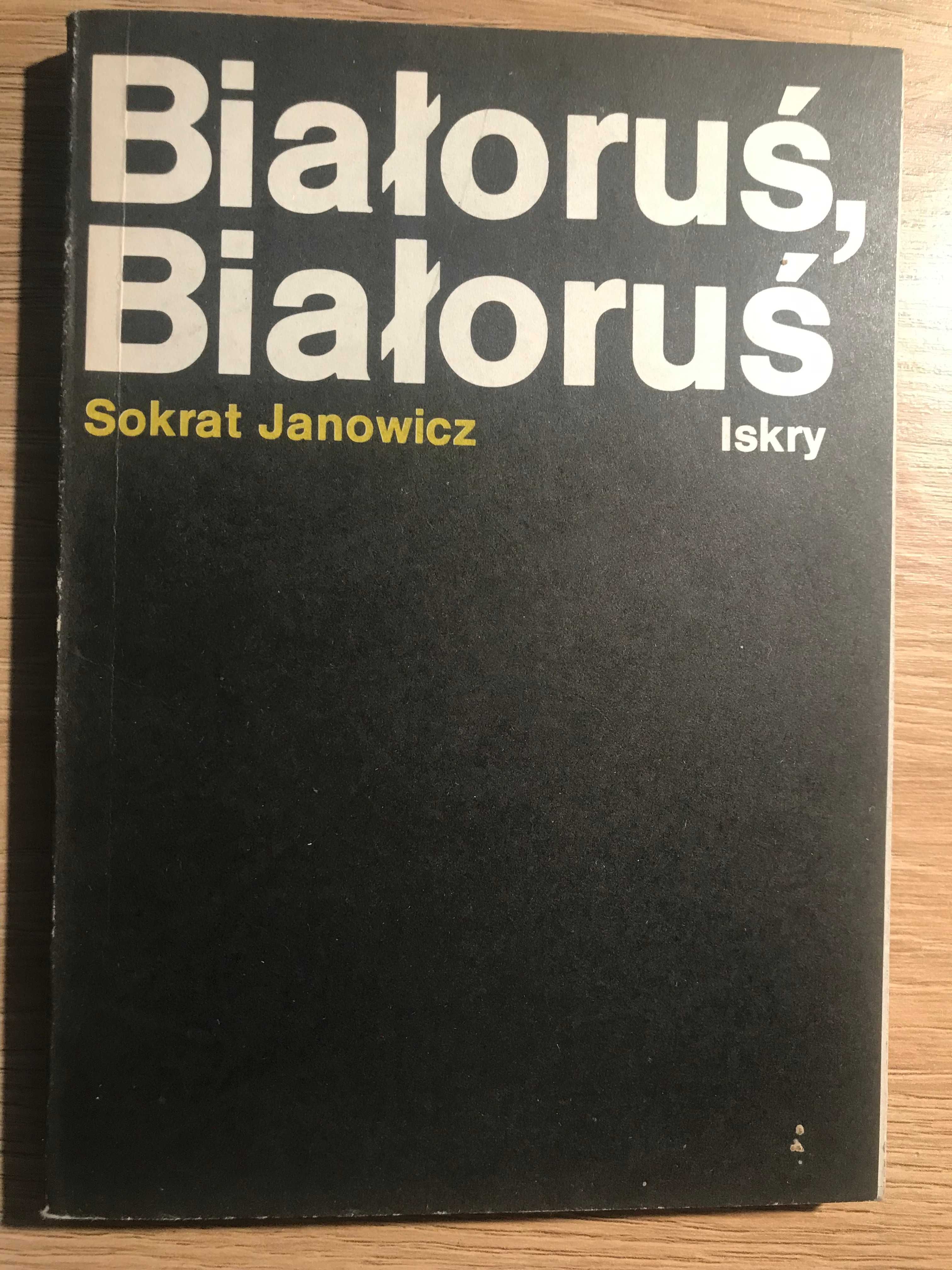 Sokrat Janowicz "Białoruś Białoruś". 1987 r.