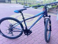 Rower kross lea 4.0 rama 15
