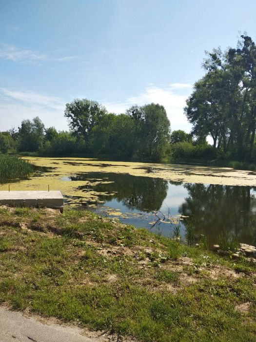 Земельна ділянка 25 сот. будівництво Ясногородка Фастівський район