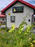 Apartamenty rodzinne Kudowa-Zdrój