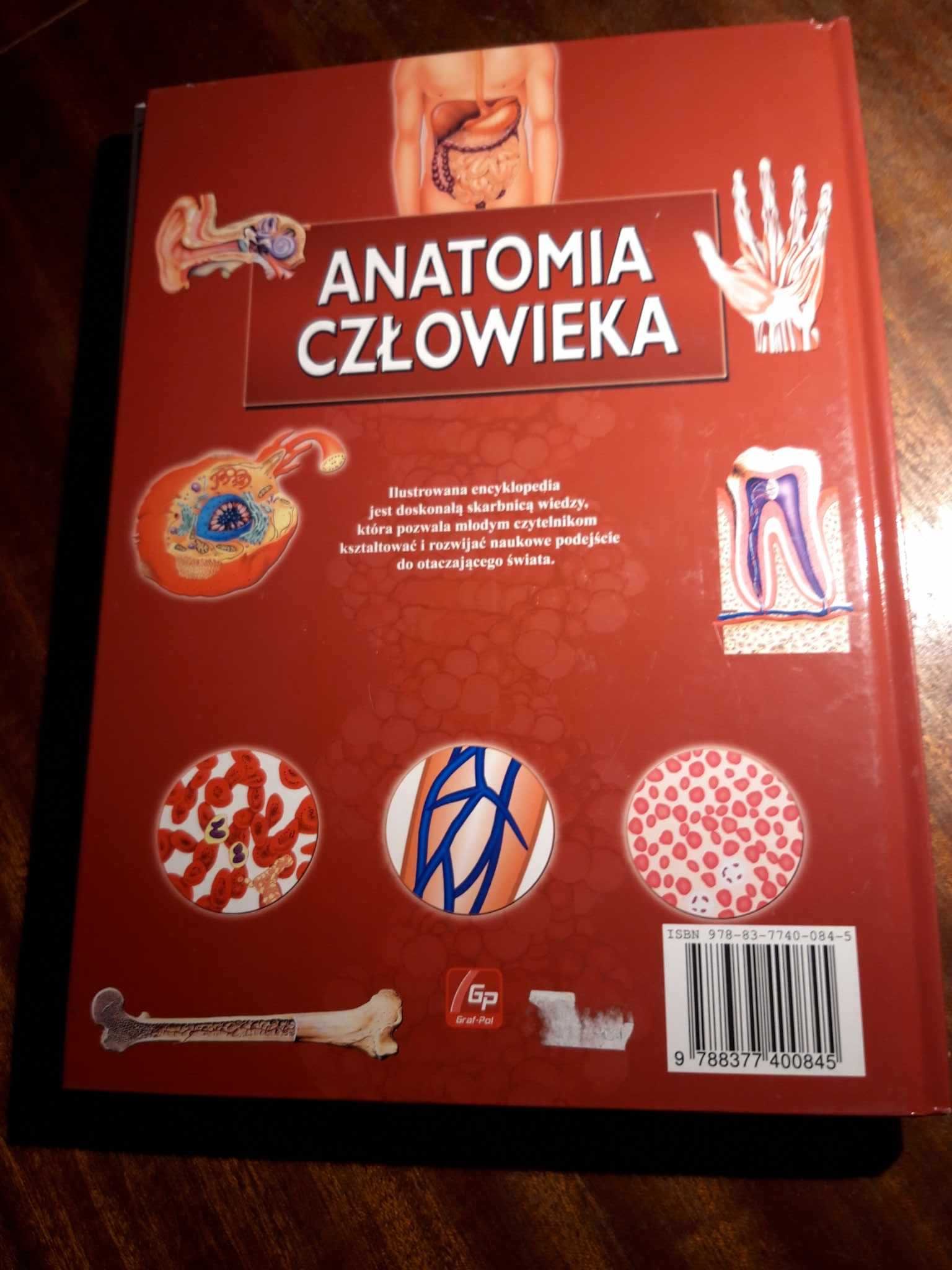 Anatomia człowieka prezent dla dzieci młodzieży