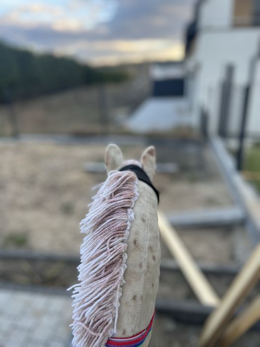 Piękny hobby horse