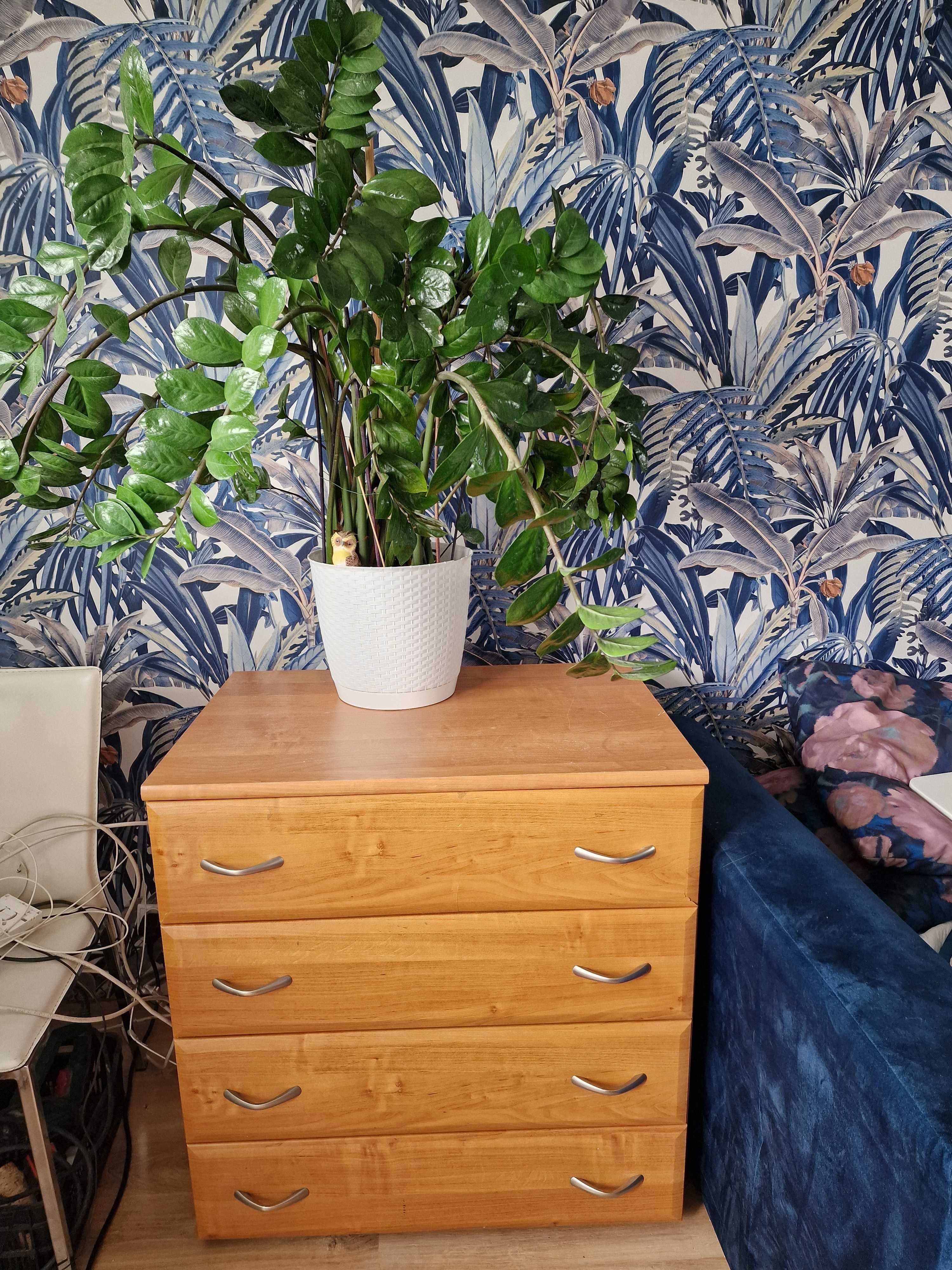 Komoda - MDF   szer 120 kolor OLCHA szuflady -firma RESTOL