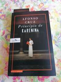 Livro de Afonso Cruz, princípio de Karenina