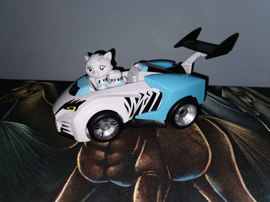 Kot kocia paczka Rory, kocia paczka psi patrol