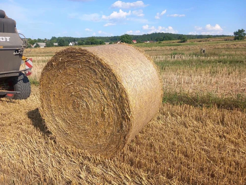 Słoma. Słoma w belach z transportem