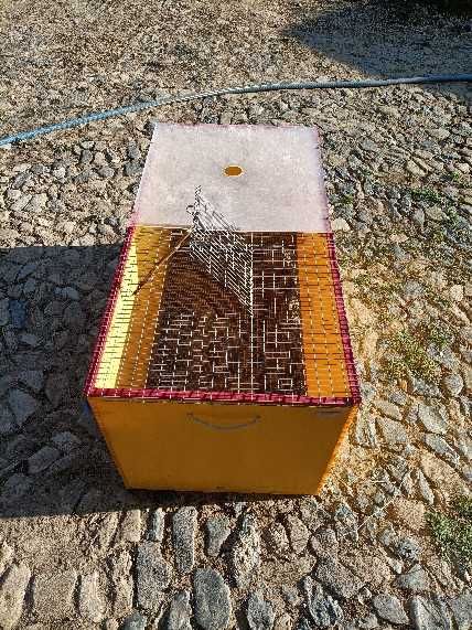 Criadeira Chick Max 100x50 cm (Com acessórios)