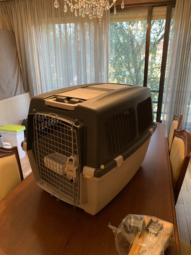 Caixa transportadora cães
