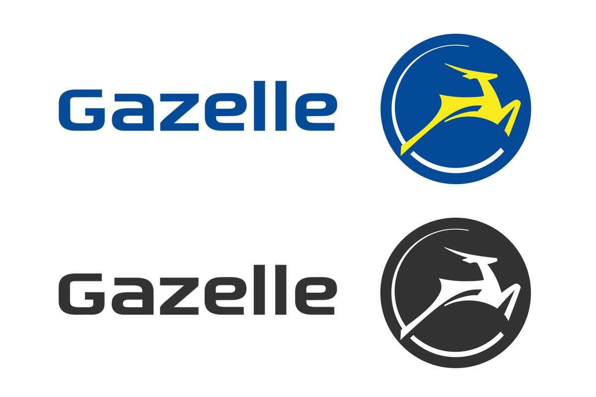 Czujnik Napięcia Łańcucha Gazelle Innergy od Service Gazelle komputer.