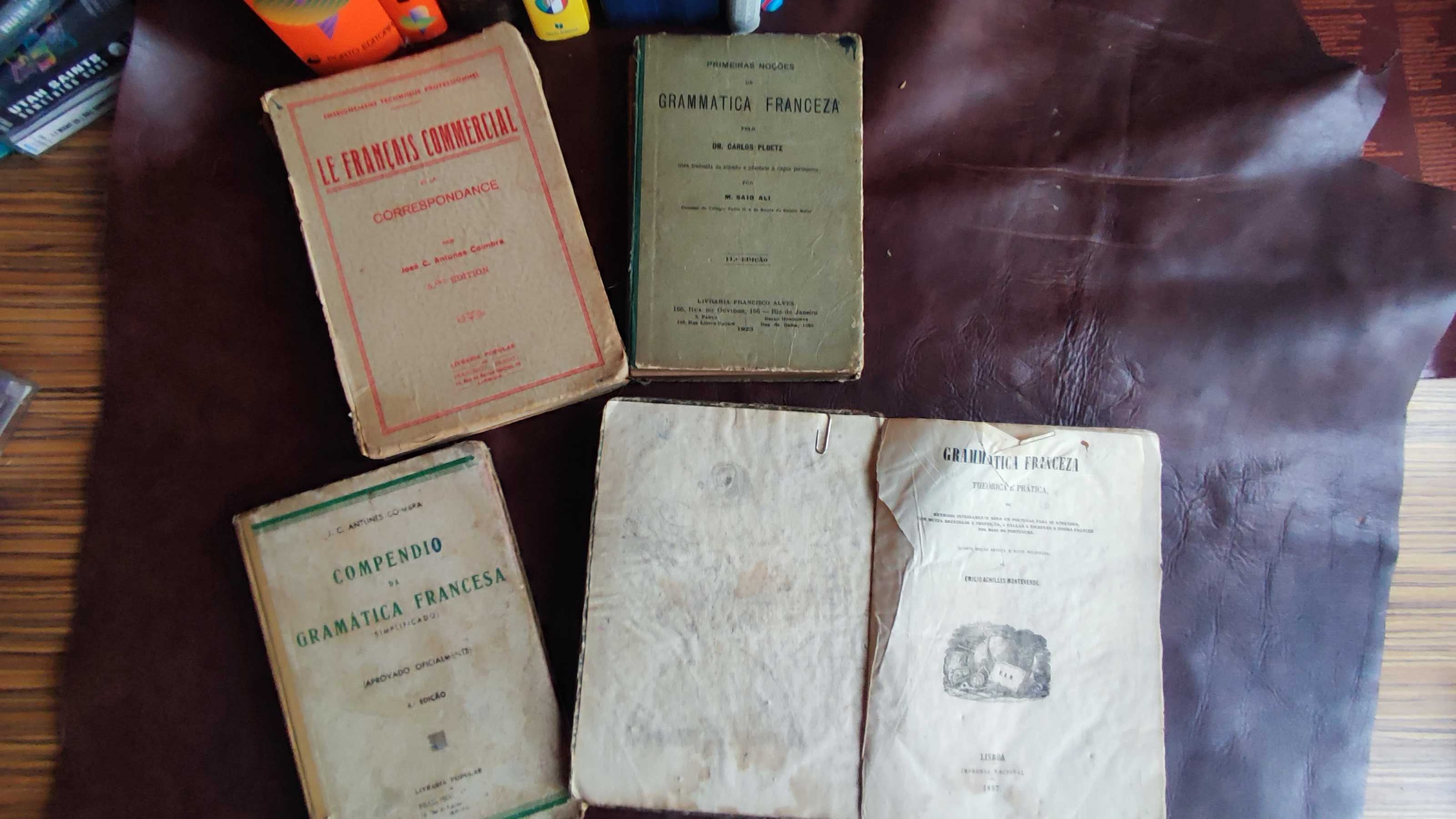 Grande Lote de Dicionários , Gramáticas (e Livros Antigos) de Francês