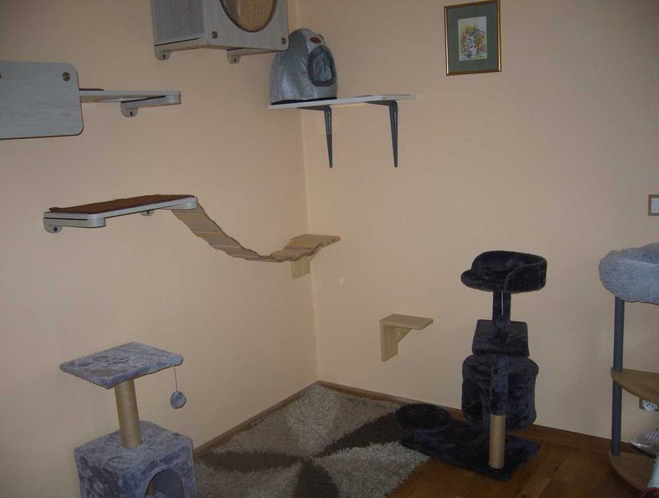 CatFun kocie apartamenty, hotel dla kotów i małych zwierząt