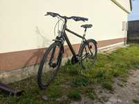 Rower męski duży Triumph Sport XT Cross