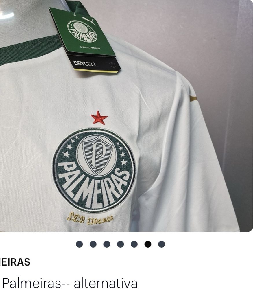 Camisola Palmeiras Paga 1 leva 2