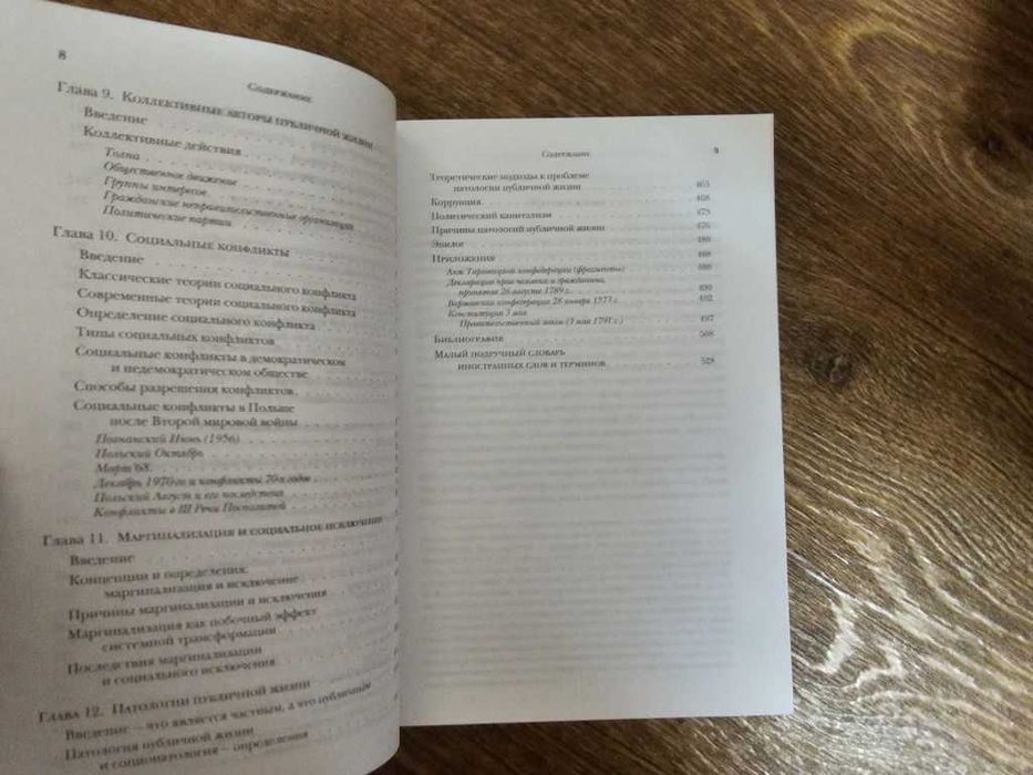 Внук-Липиньский. Социология публичной жизни
