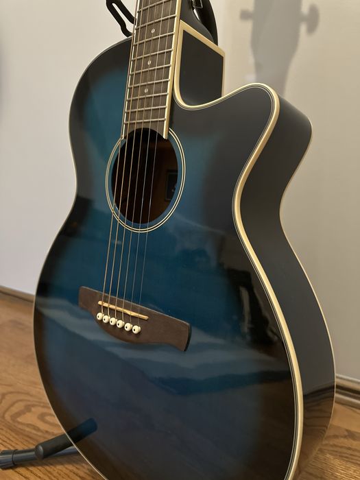 Ibanez AEG8E tbs